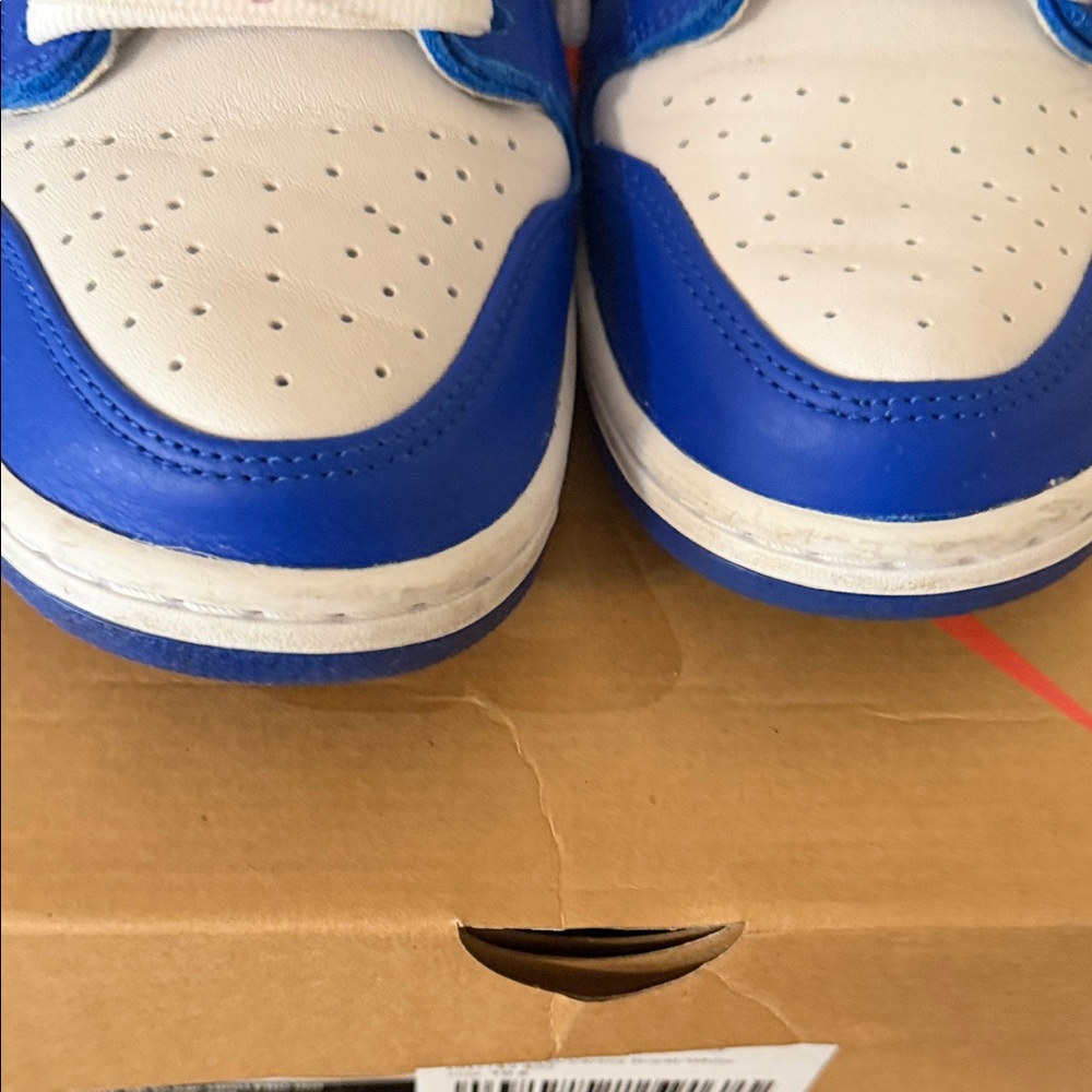 Men’s Nike Dunk High Pro ISO - Picture 5 of 7